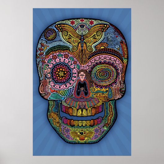 Dod Sk511 – 色 ポスター (正面)