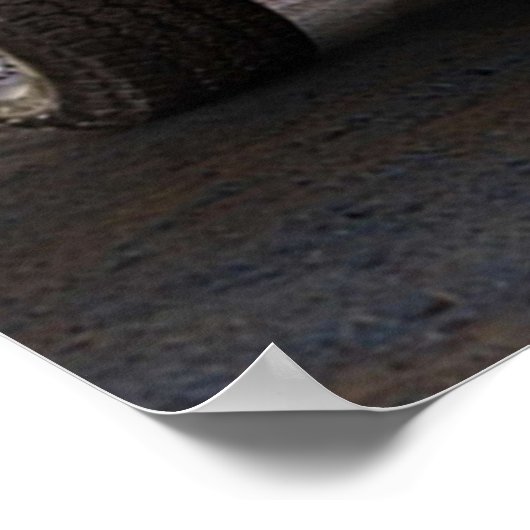 Dodge Ram 1500 TRX ポスター (角)