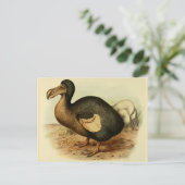 Dodoはがき ポストカード (スタンド正面)