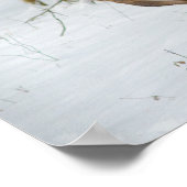 Doeポートレート ポスター (角)