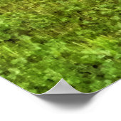 Doe雌鹿と草の野生動物の子鹿の写真 ポスター (角)