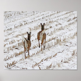 Doe and Yearling in a Snowy Cornfield II ポスター