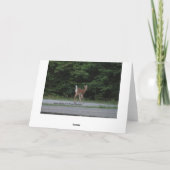 Doe & Fawn カード (裏面)