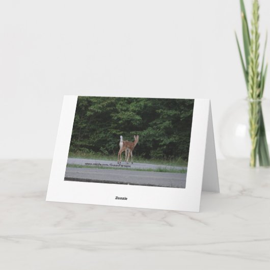 Doe & Fawn カード (裏面)