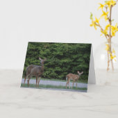 Doe & Fawn カード (黄色い花)