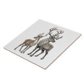 Doe & Stag タイル (側面)