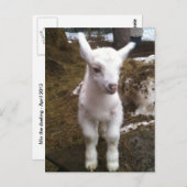 Doelingポストカードの最小値 ポストカード (正面/裏面)