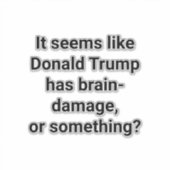 Does Trump Have Brain-Damage? Hankamer Artjunkhaus シール (正面)