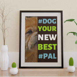 #Dog、あなたの新し最高のい#Pal ...チベット語スパニエル犬 ポスター