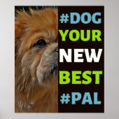 #Dog、あなたの新し最高のい#Pal ...チベット語スパニエル犬 ポスター (正面)