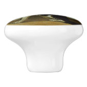 Dog  セラミックノブ (側面)