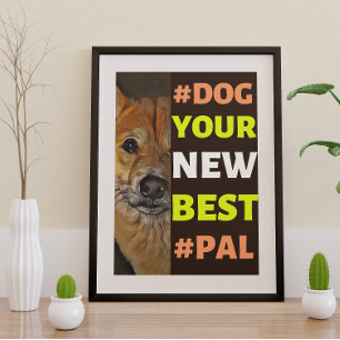 #Dog、新し最高のい#Pal ...柴犬 ポスター
