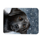 Dog 100ブラックラブラドールPhoto magnet マグネット (横)
