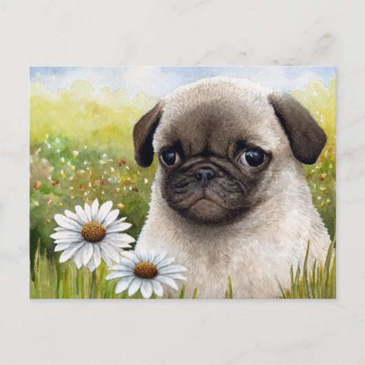 Dog 114ポストカード ポストカード (正面)