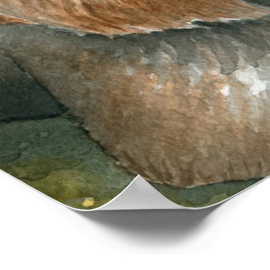 Dog 117 Yorkshire ポスター (角)