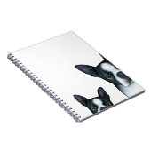 dog 128 Boston Terrier ノートブック (右側)