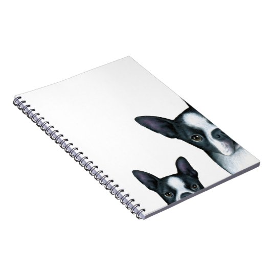 dog 128 Boston Terrier ノートブック (右側)