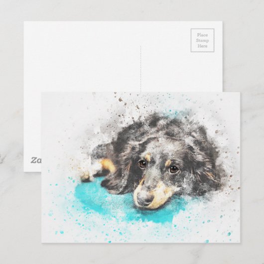 dog-2719601_1920 ポストカード (正面/裏面)