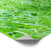 dog-280332 YOUNG DOG BLACK PUPPY ADORABLE PETS GRE ポスター (角)