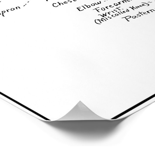 DOG ANATOMY 1919 ポスター (角)