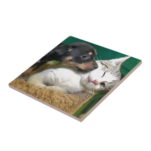 Dog and cat タイル (側面)