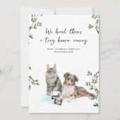 Dog and Cat Pregnancy Announcement 案内状 (正面)