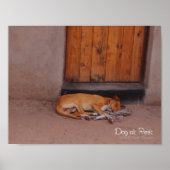 Dog at Rest ポスター (正面)