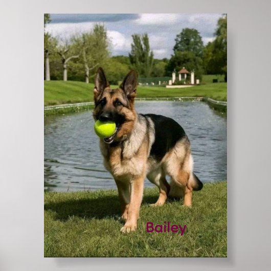 Dog Bathroom Wall Art, Boxer Taking a Bath Poster ポスター (正面)