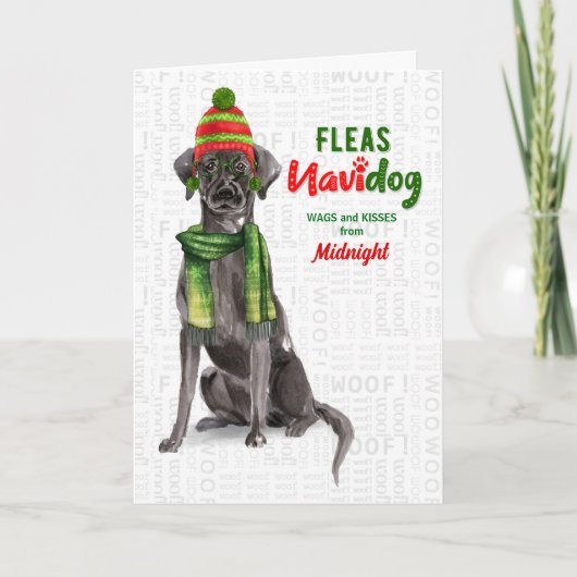 Dog Black Lab Fleas Navidog Christmasから シーズンカード (正面)