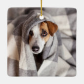 Dog Bone Modern Four Photo Pet Collage セラミックオーナメント (裏面)