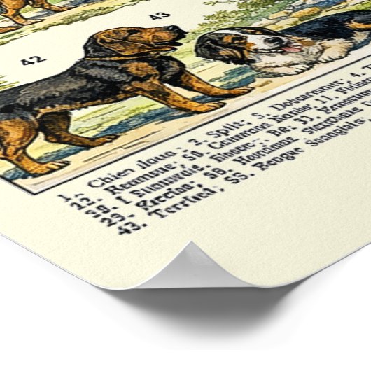Dog Breeds color Illustrations ポスター (角)
