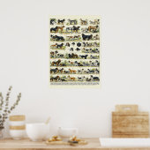 Dog Breeds color Illustrations ポスター (キッチン)