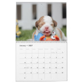Dog Calendar 2016カスタム写真の追加 カレンダー (1月 2027)