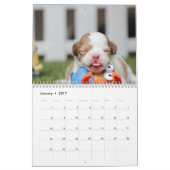 Dog Calendar 2023かわいい写真を追加 カレンダー (1月 2017)