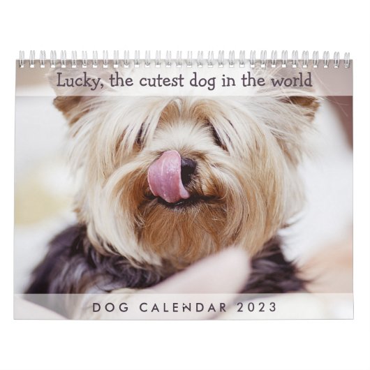 Dog Calendar 2023かわいい写真を追加 カレンダー (カバー)