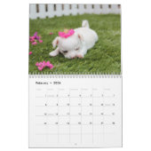 Dog Calendar 2025かわいい写真を追加 カレンダー (2月 2026)
