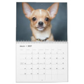 Dog Calendar 2025写真と文字の追加 カレンダー (3月 2027)