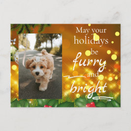 Dog Cat Pet Custom Photo Christmas Postcard Funny シーズンポストカード
