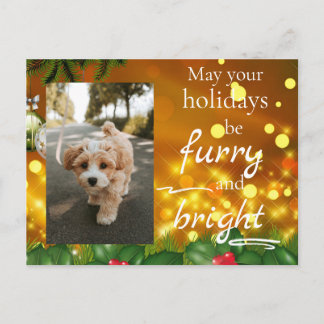 Dog Cat Pet Custom Photo Christmas Postcard Funny シーズンポストカード