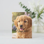 Dog cat pet name photo template simple minimal  ポストカード (スタンド正面)