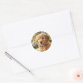Dog cat pet name photo template simple minimal  ラウンドシール (封筒)