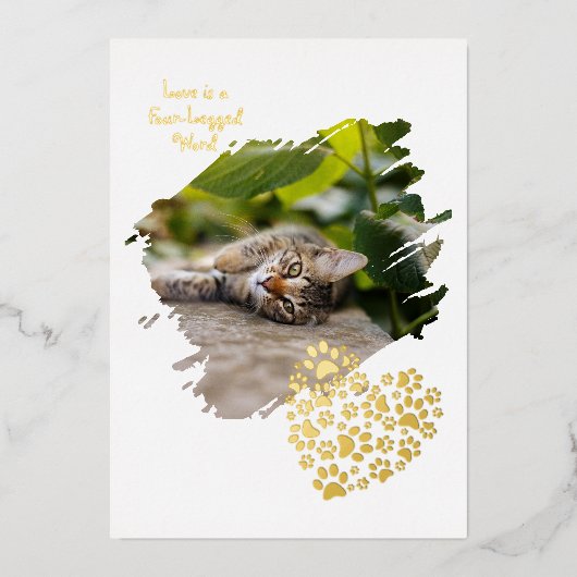 Dog Cat Pet Paw Custom Photo Valentine's Day Love 箔招待状 (正面)