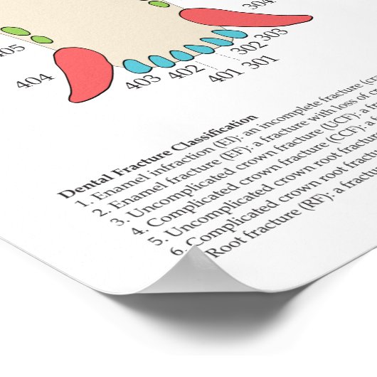 Dog Cat Veterinary Dental Chart ポスター (角)