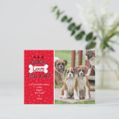 Dog Christmas Cardsから ポストカード (スタンド正面)