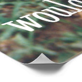 dog coat ポスター (角)