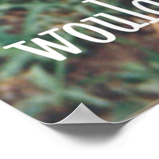 dog coat ポスター (角)