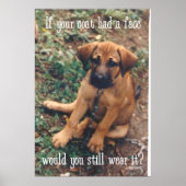 dog coat ポスター (正面)