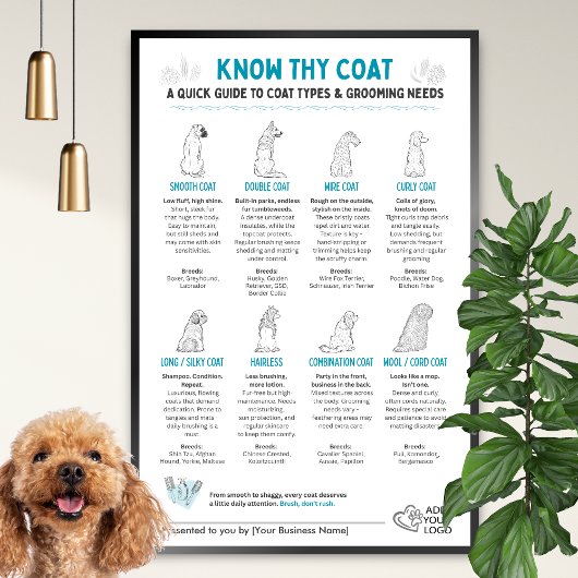 Dog Coat Types Chart - Groomers Wall Art  ポスター