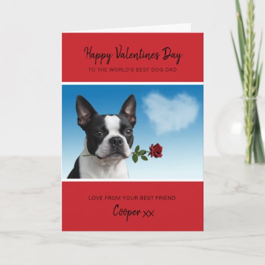 Dog Dad Valentine From Boston Terrier Holding Rose シーズンカード (正面)