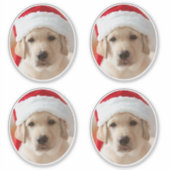 Dog Face Photo Custom Cut out シール (正面)